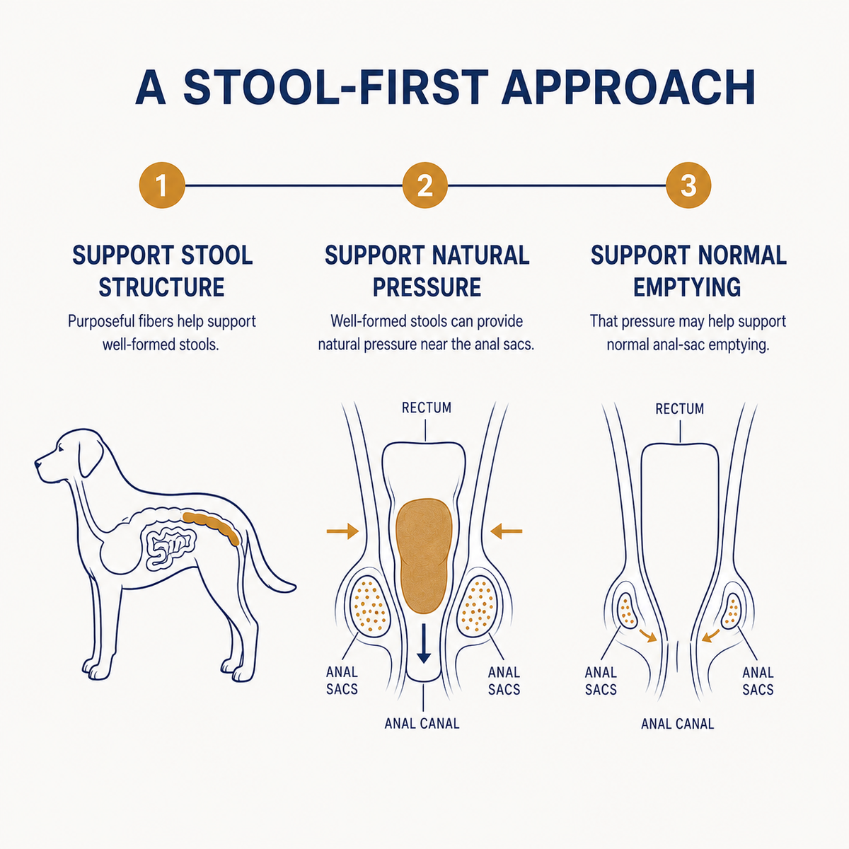 Anal Gland + Stool Support