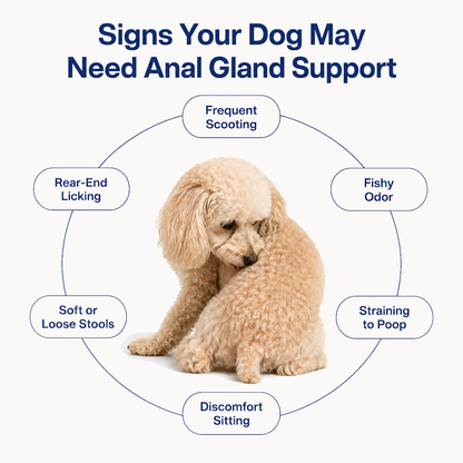 Anal Gland + Stool Support